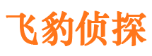 新田飞豹私家侦探公司